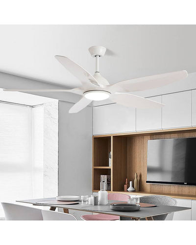 WOW Modern Large Ceiling Fan Lamp-wow5076