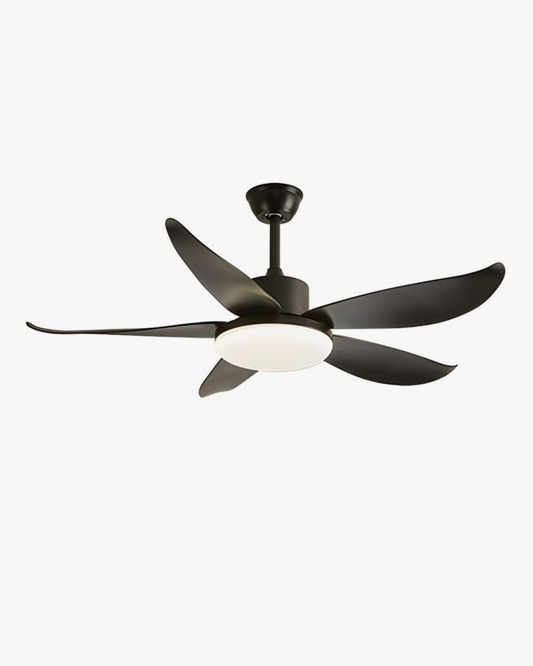 WOW 5 blade Modern Ceiling Fan Lamp-wow5049