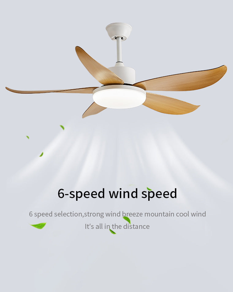 WOW 5 blade Modern Ceiling Fan Lamp-wow5049