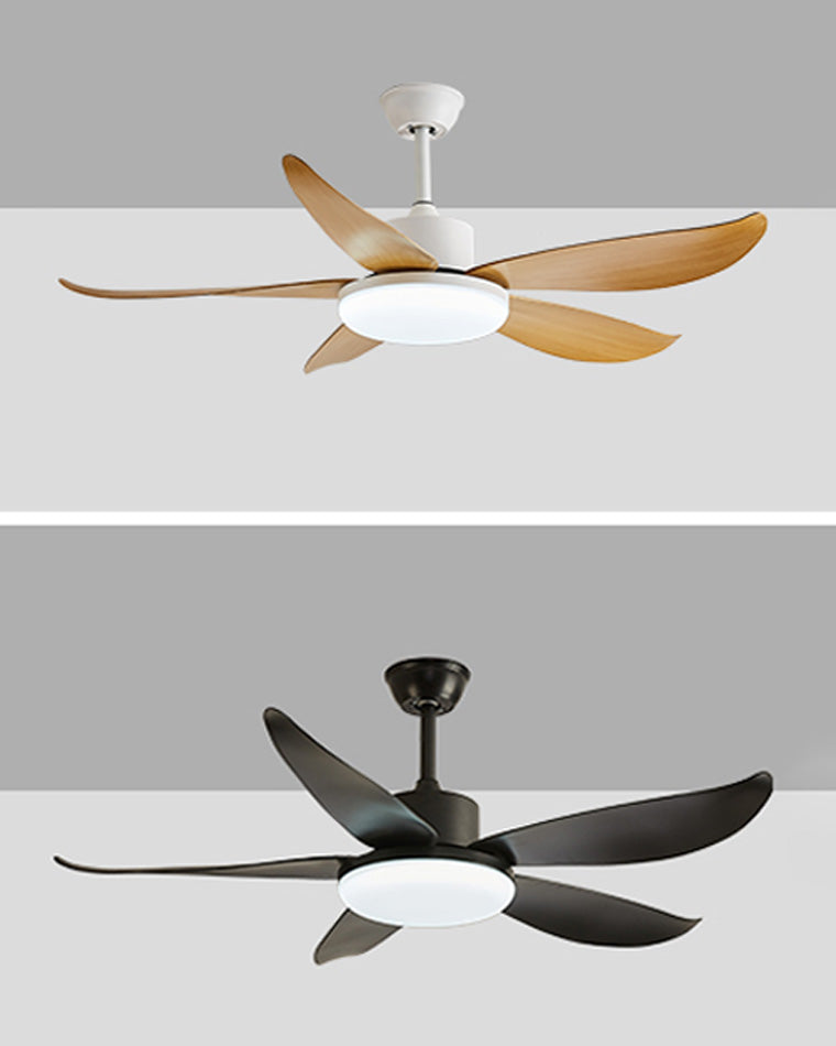 WOW 5 blade Modern Ceiling Fan Lamp-wow5049