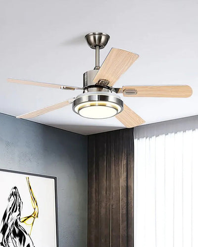 WOW Stainless Steel Ceiling Fan Lamp-wow5057