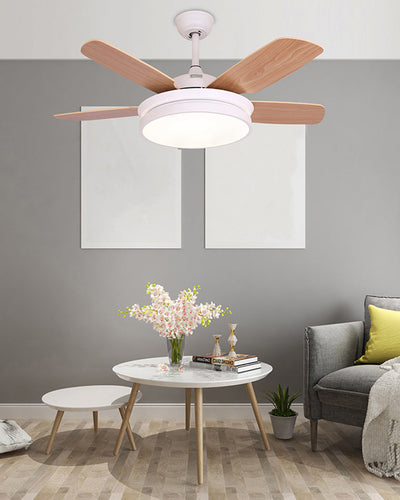 WOW 5 Blade Ceiling Fan Lamp-wow5106