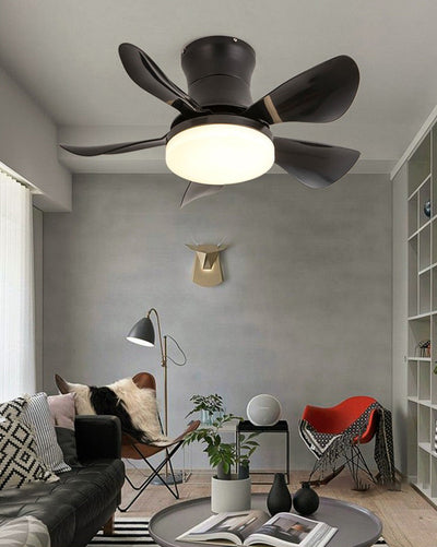 WOW Small Ceiling Fan Lamp-wow5088