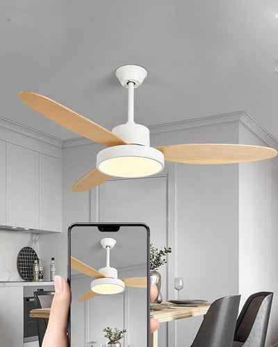 WOW 3 Blade Ceiling Fan Lamp-wow5132