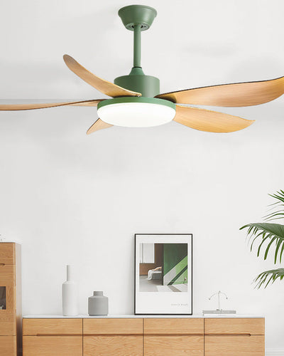 WOW 5 blade Modern Ceiling Fan Lamp-wow5049