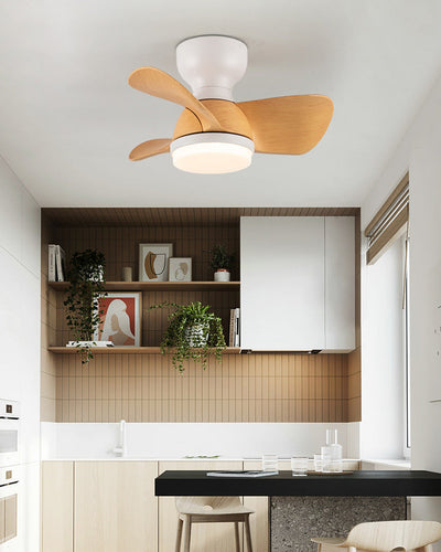 WOW Small Flush Mount Ceiling Fan Lamp-wow5114