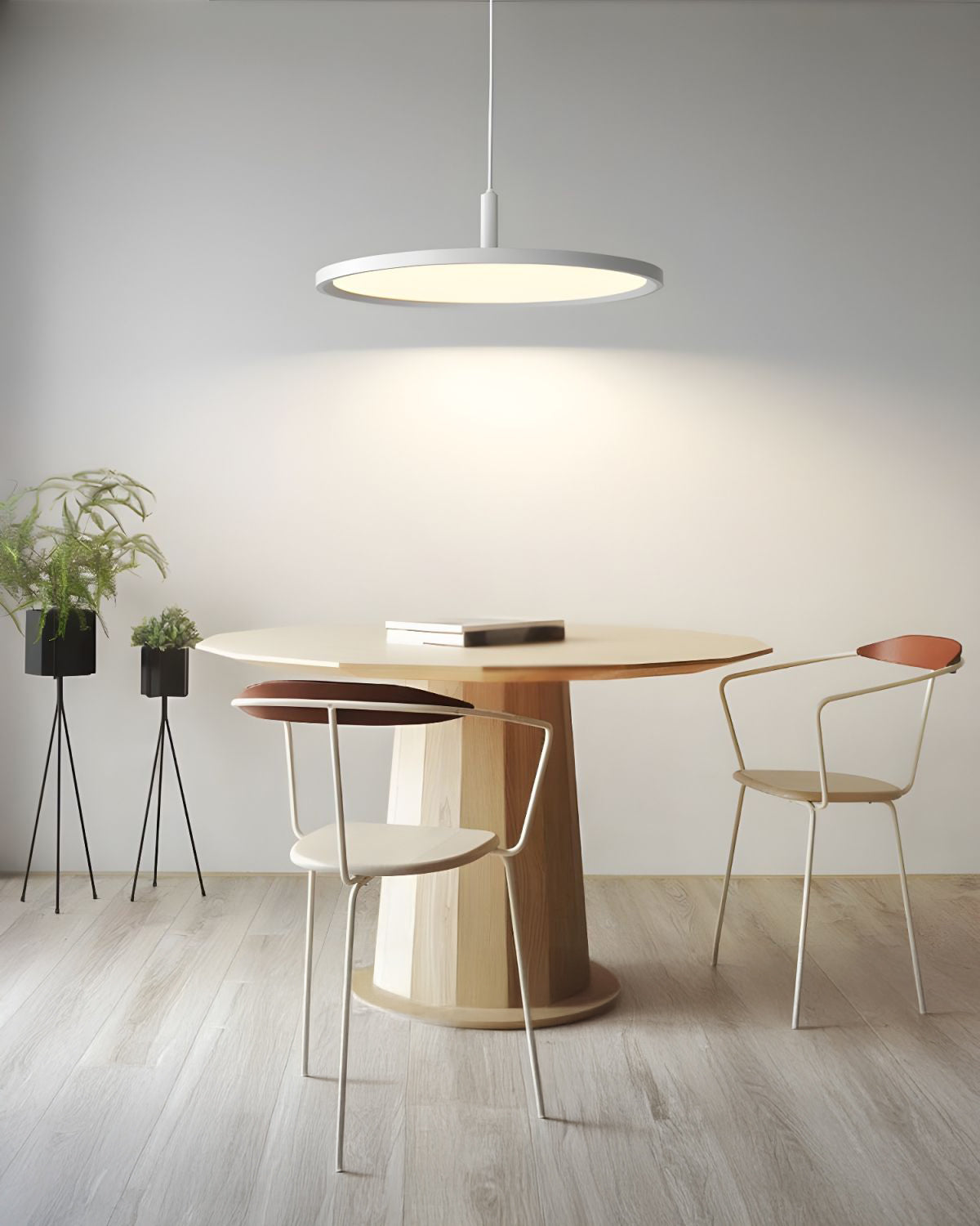 WOW Large Disc Pendant Light-wow2911