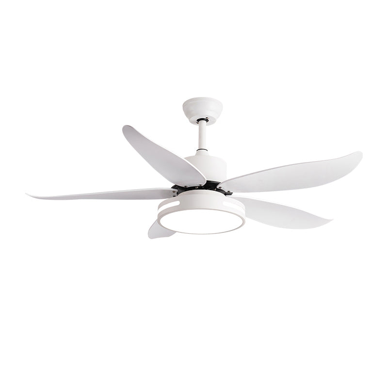 WOW 5 Blade Contemporary Ceiling Fan Lamp-wow5000