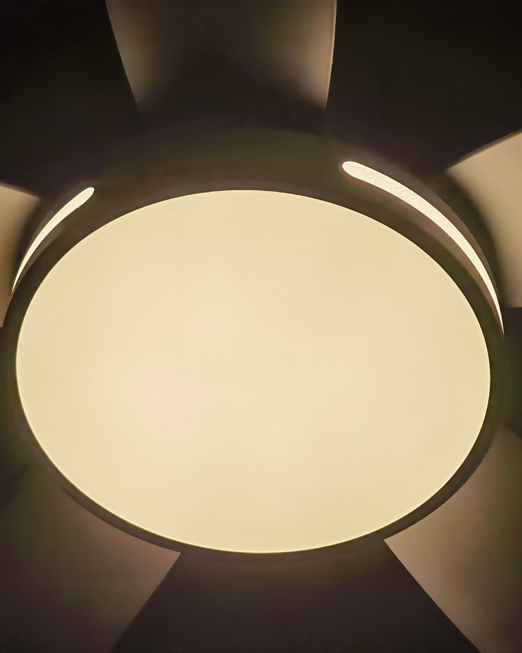 WOW 5 Blade Contemporary Ceiling Fan Lamp-wow5000