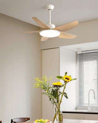 WOW 42in Low Profile Ceiling Fan Lamp-wow5020