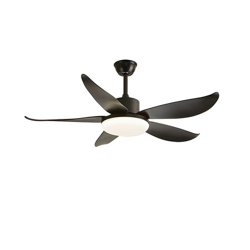 WOW 5 blade Modern Ceiling Fan Lamp-wow5049