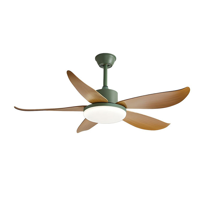 WOW 5 blade Modern Ceiling Fan Lamp-wow5049