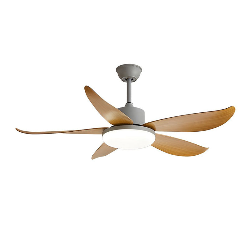 WOW 5 blade Modern Ceiling Fan Lamp-wow5049