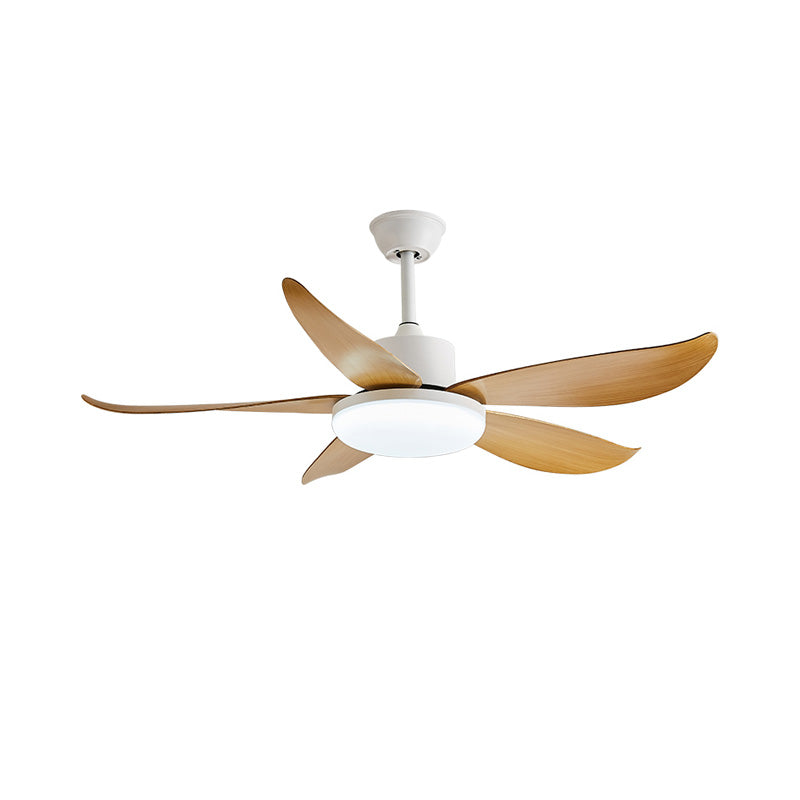 WOW 5 blade Modern Ceiling Fan Lamp-wow5049