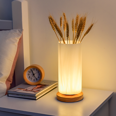 Dimmable Ornament Vase Table Lamp