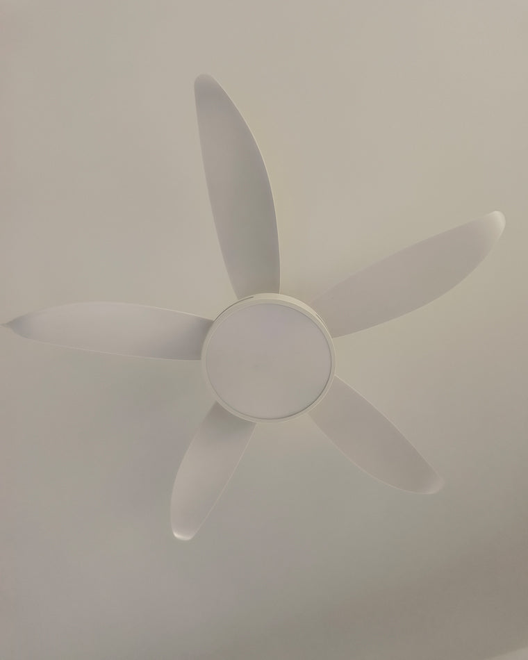 WOW 5 Blade Contemporary Ceiling Fan Lamp-wow5000