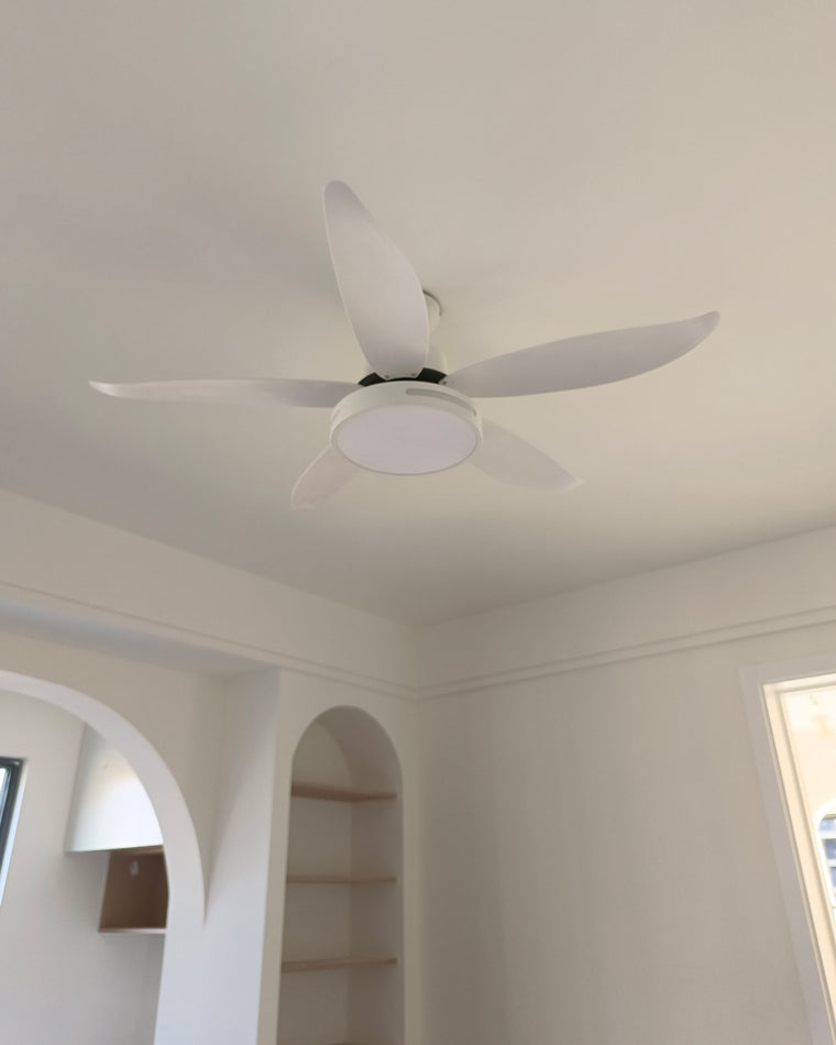 WOW 5 Blade Contemporary Ceiling Fan Lamp-wow5000