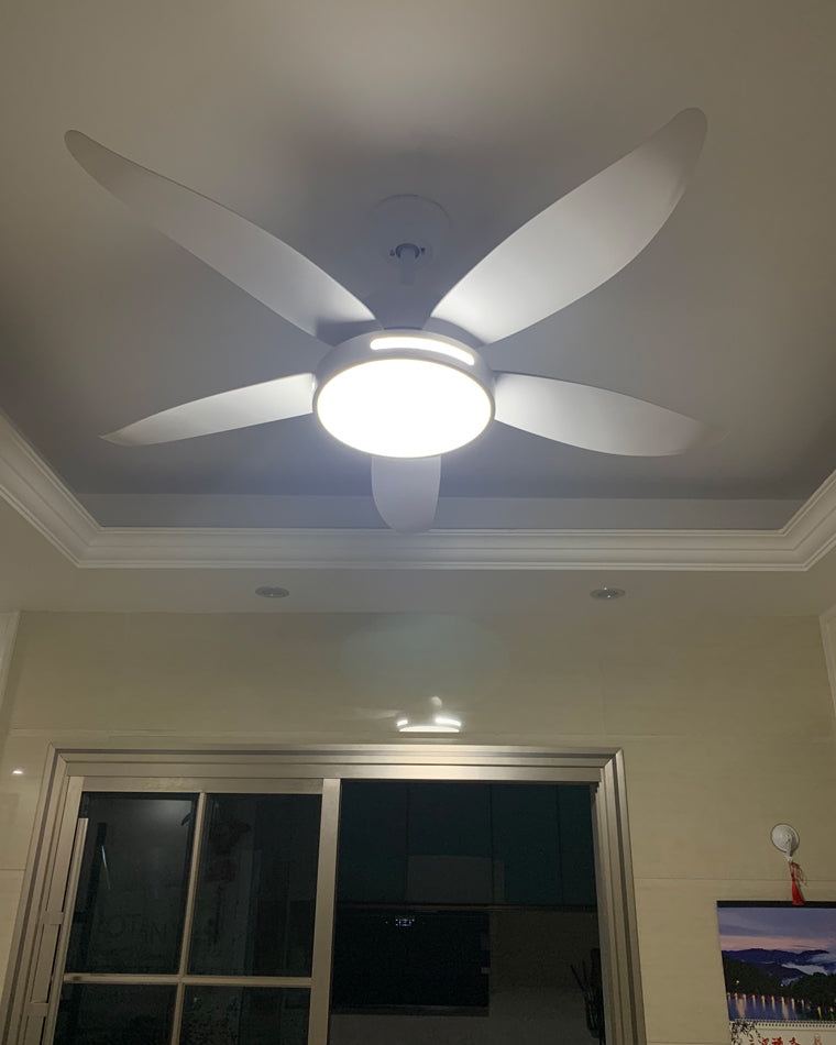 WOW 5 Blade Contemporary Ceiling Fan Lamp-wow5000