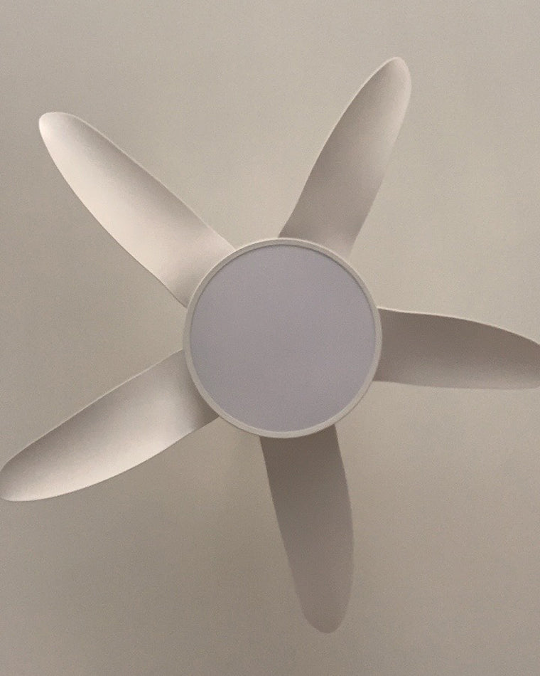 WOW 5 Blade Contemporary Ceiling Fan Lamp-wow5000