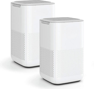 Air Purifier with H13 True HEPA Filter