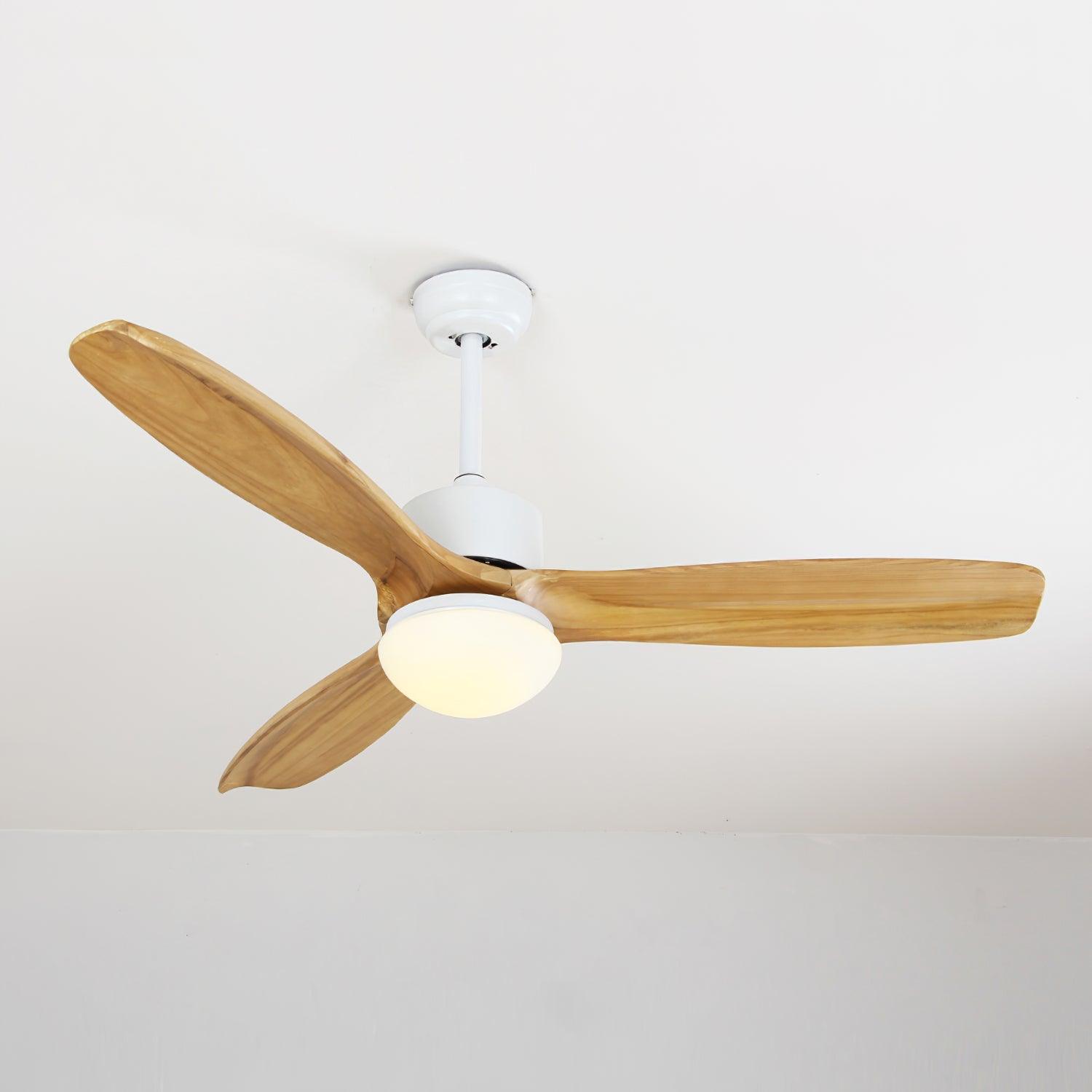 WOW Harborough 3 Ceiling Fan Light