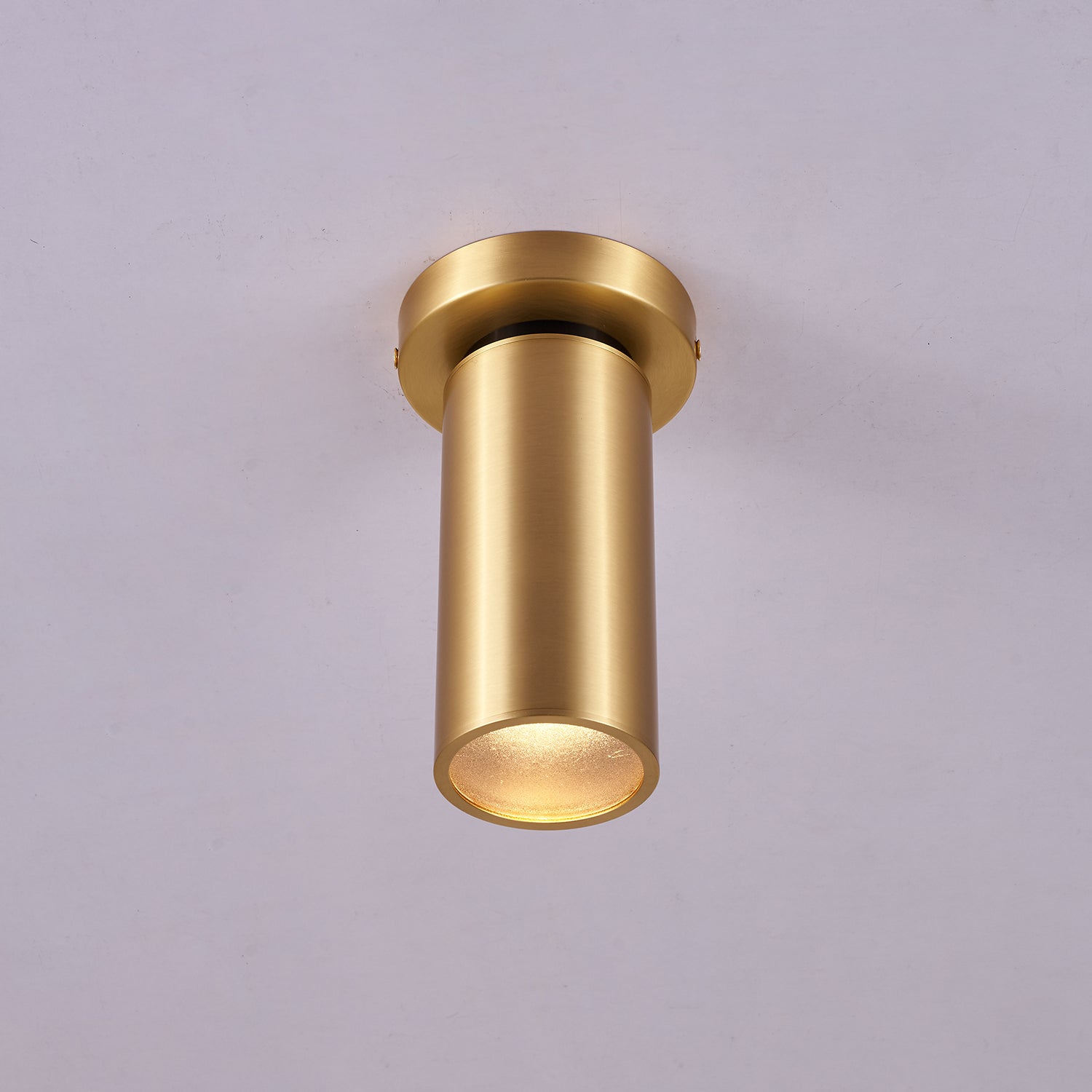 WOW Horizon Brass Spot Light