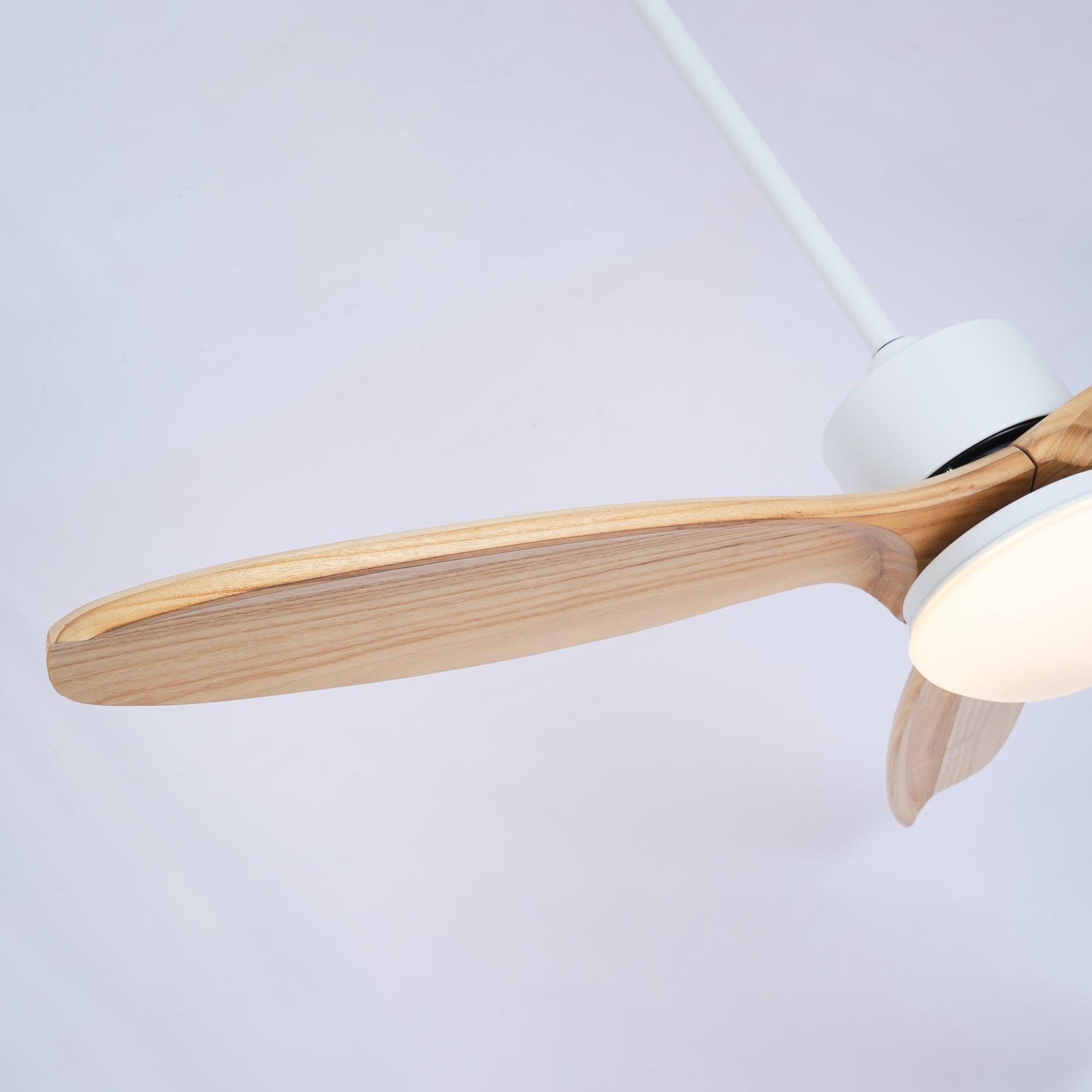 WOW Harborough 3 Ceiling Fan Light