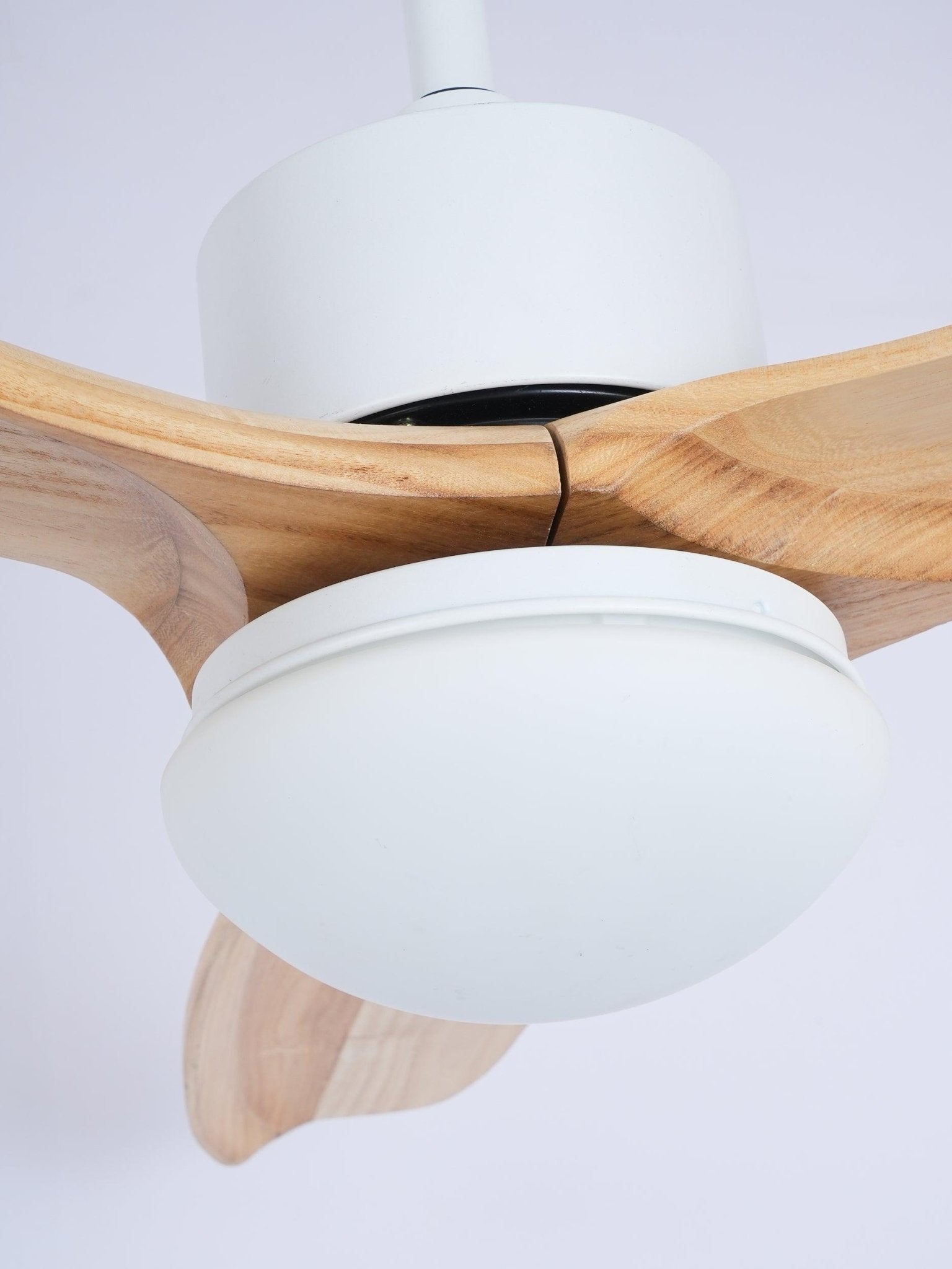 WOW Harborough 3 Ceiling Fan Light