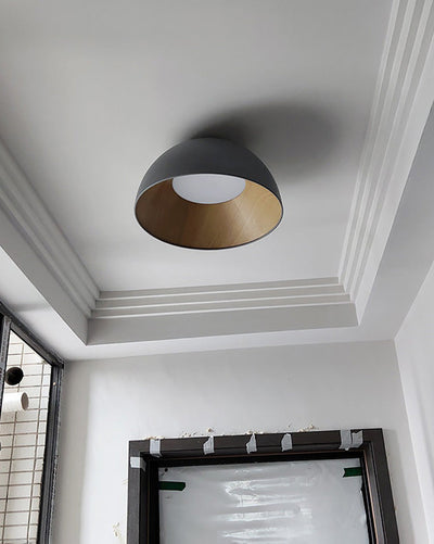 WOW Dome Asymmetrical Flush Mount Ceiling Light-WOW1020