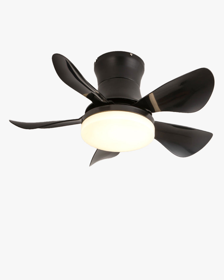 WOW Small Ceiling Fan Lamp-wow5088