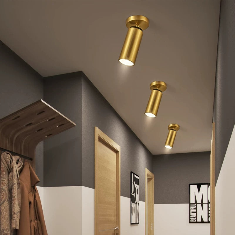 WOW Horizon Brass Spot Light