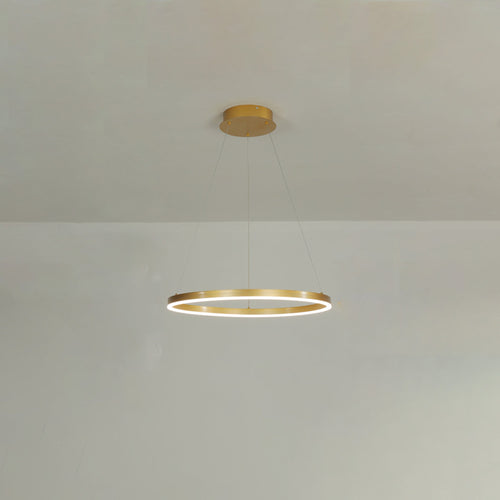 WOW Ring Pendant Light-wow2030