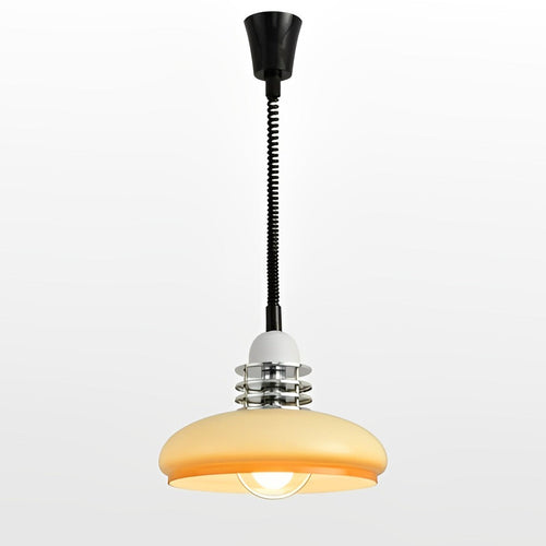 WOW Glass Dome Pull down Pendant Light-wow2582