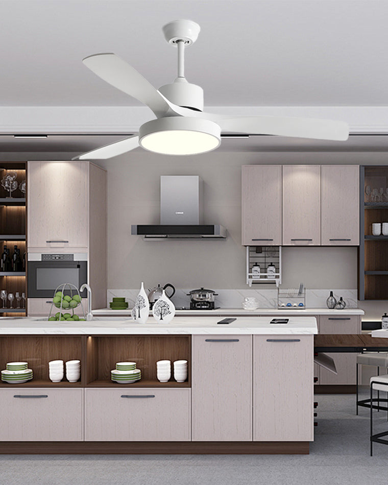 WOW 3 Blade Modern Ceiling Fan Lamp-wow5123