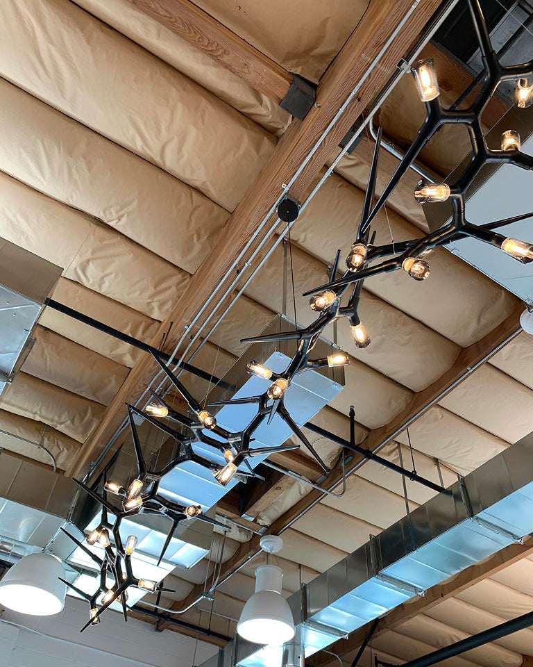 WOW Black Branch Chandelier-wow2672