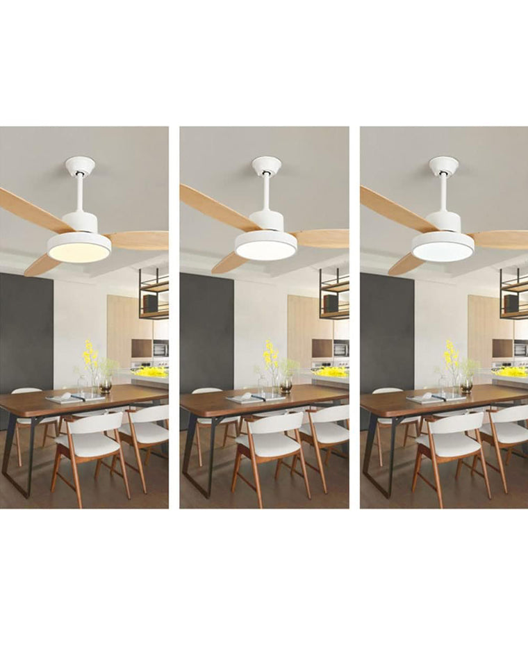 WOW  3 Blade Ceiling Fan Lamp-wow5132