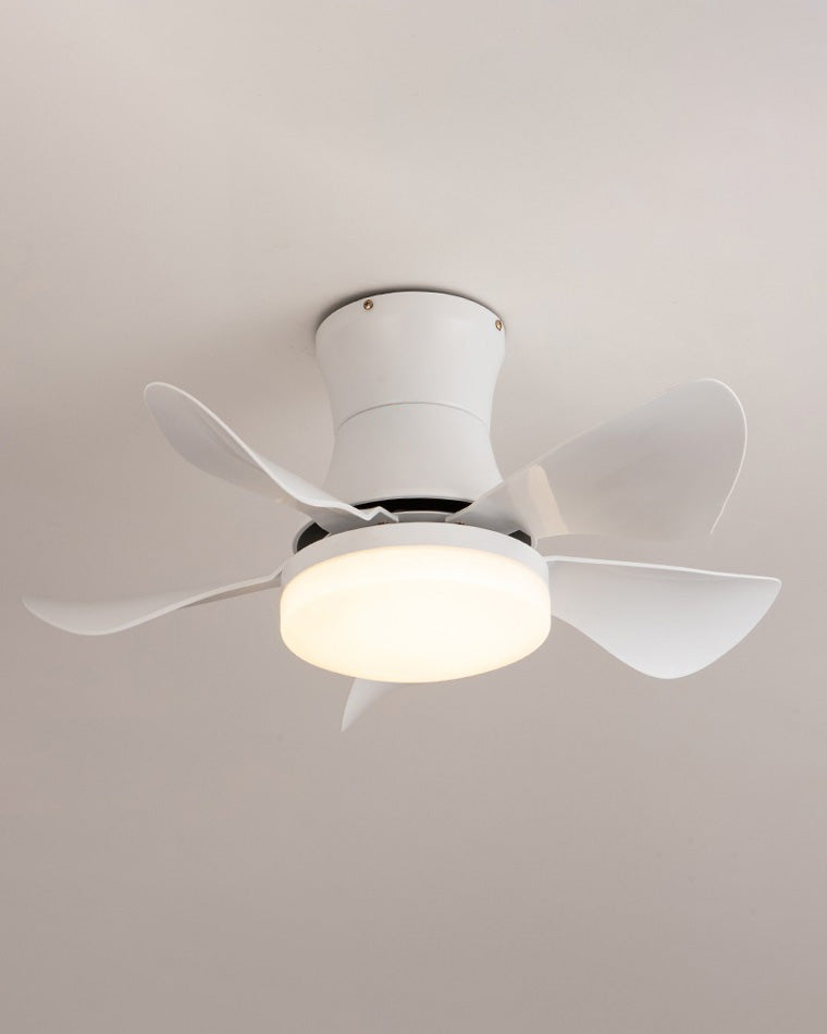 WOW Small Ceiling Fan Lamp-wow5088
