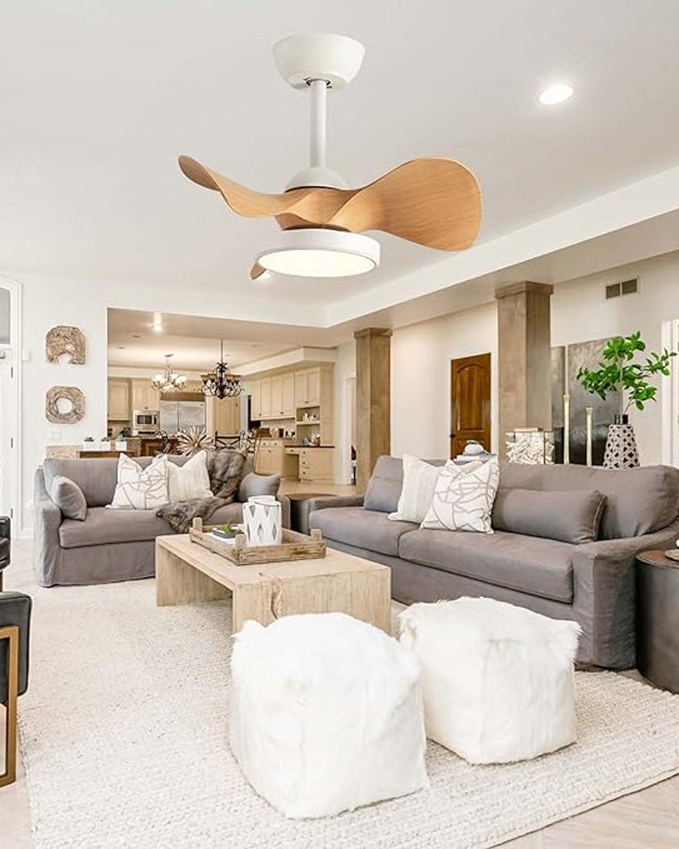 WOW Small Ceiling Fan Lamp-wow5093
