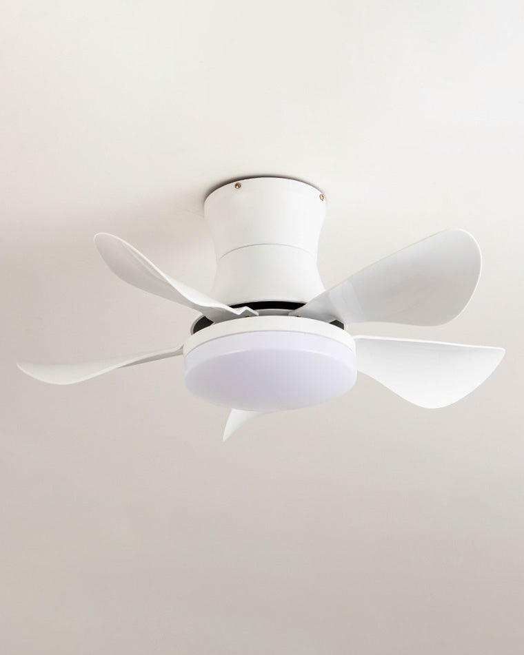 WOW Small Ceiling Fan Lamp-wow5088