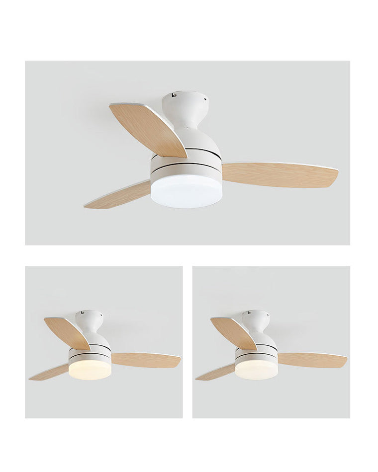 WOW Scandinavian Ceiling Fan Lamp-wow5047
