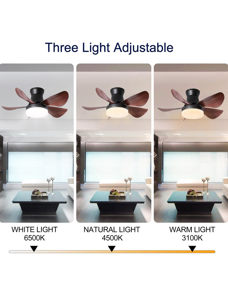 WOW Modern Farmhouse Small Ceiling Fan Lamp-wow5046