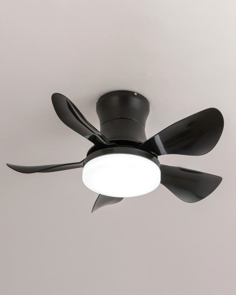 WOW Small Ceiling Fan Lamp-wow5088