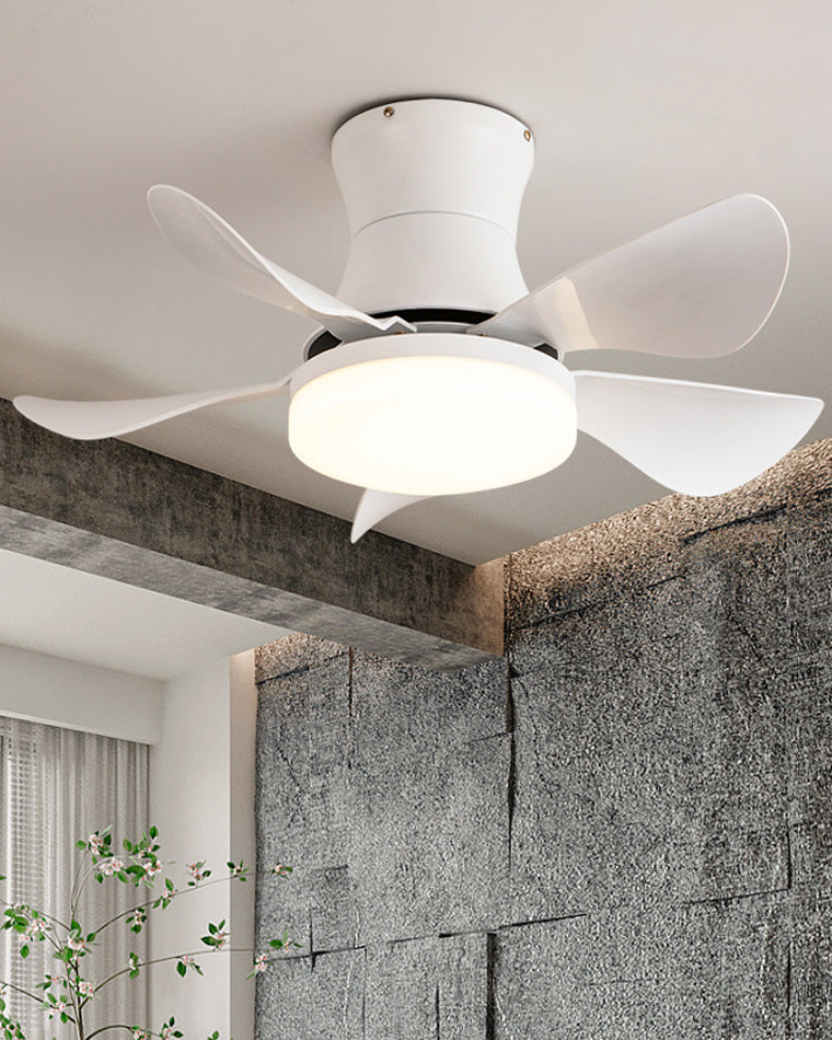 WOW Small Ceiling Fan Lamp-wow5088