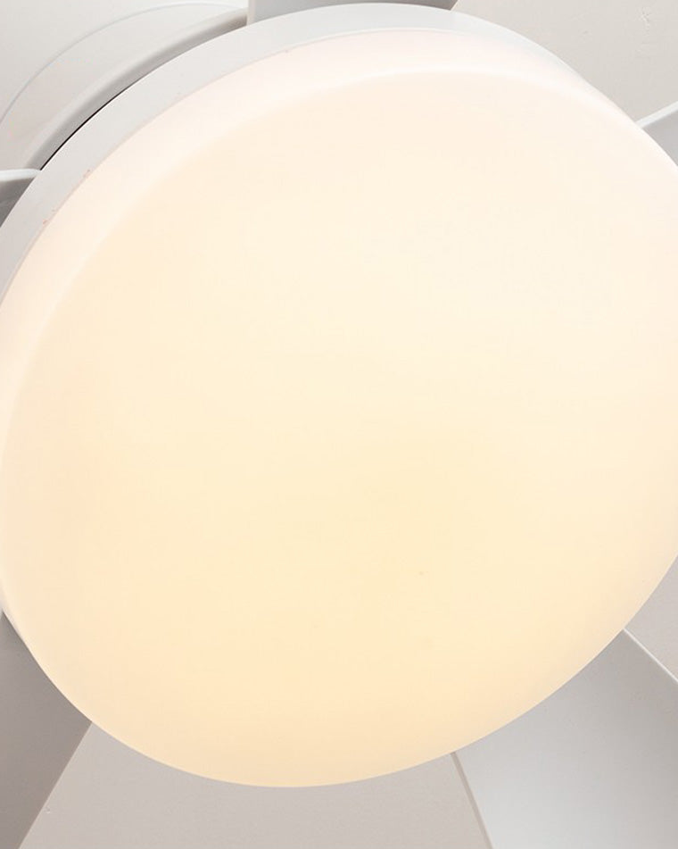 WOW Small Ceiling Fan Lamp-wow5088