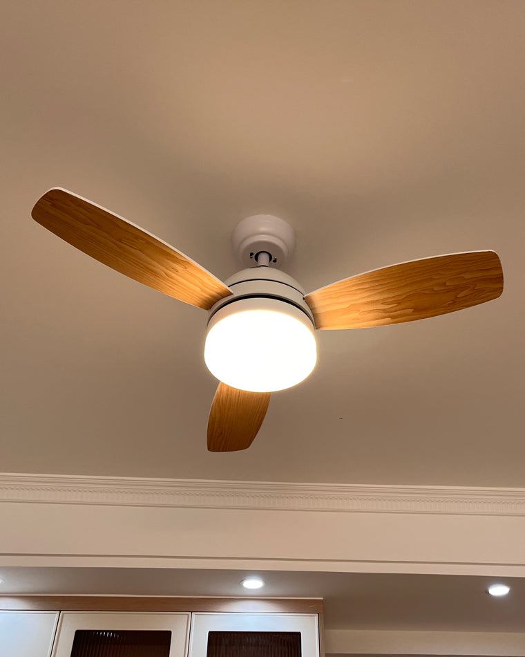 WOW 3 Wood Blade Ceiling Fan Lamp-wow5001