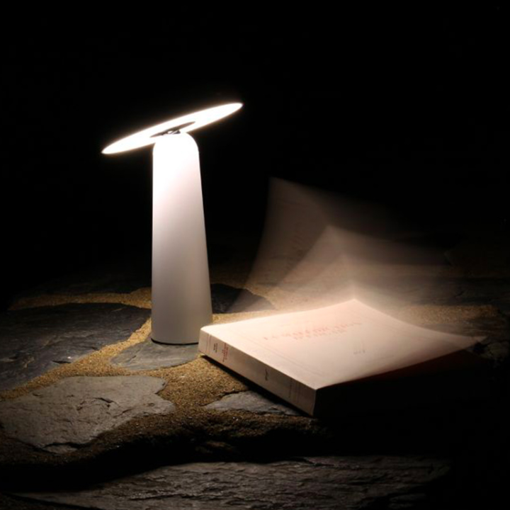 LED Portable Mushroom Table Lamp