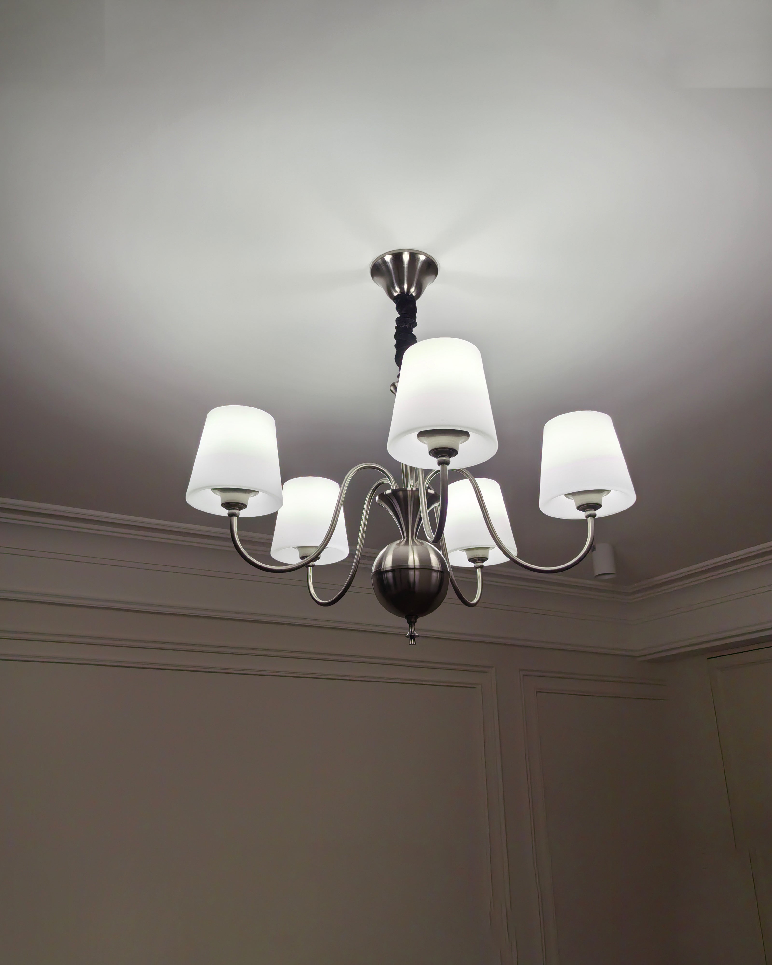 WOW Glass Shaded Arm Chandelier-wow2946