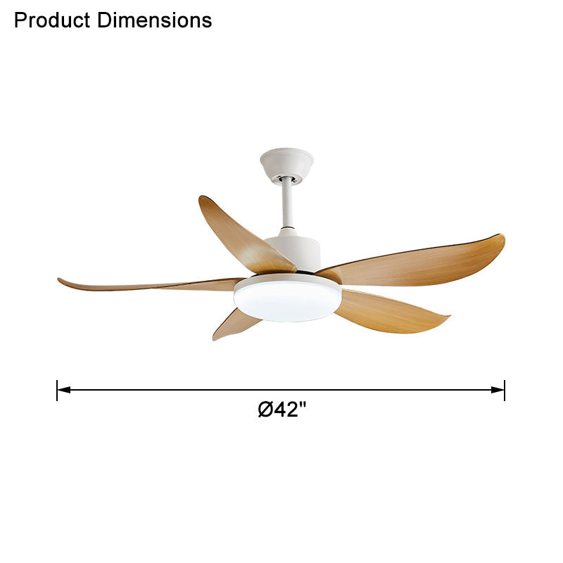 WOW 5 blade Modern Ceiling Fan Lamp-wow5049