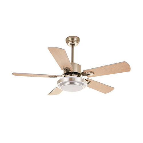 WOW Stainless Steel Ceiling Fan Lamp-wow5057