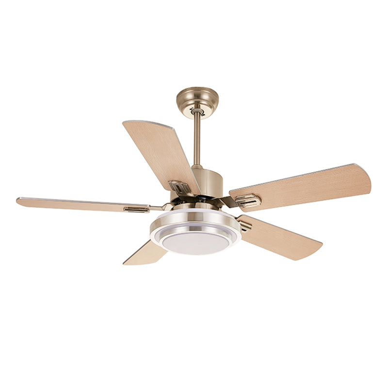 WOW Stainless Steel Ceiling Fan Lamp-wow5057